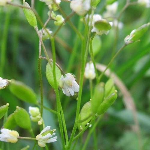 2025 남원 춘향제를 만끽하세요! 전통과 현대의 조화로운 축제 2025 남원 춘향제를 만끽하세요! 전통과 현대의 조화로운 축제