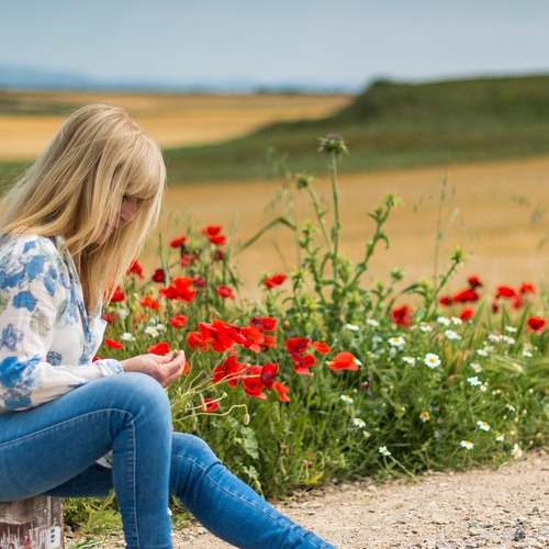 믿고 사용할 수 있는 이삿짐센터 가격비교 어플 추천 TOP 8