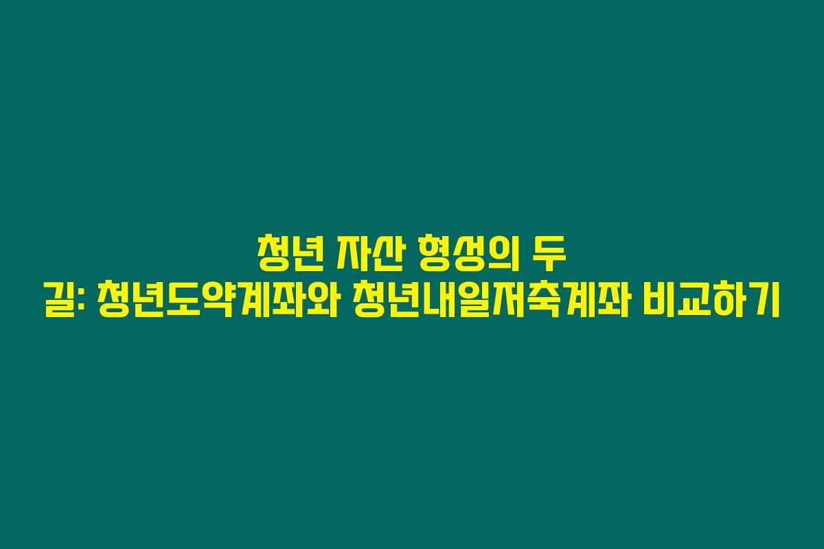 청년 자산 형성의 두 길: 청년도약계좌와 청년내일저축계좌 비교하기 청년 자산 형성의 두 길: 청년도약계좌와 청년내일저축계좌 비교하기
