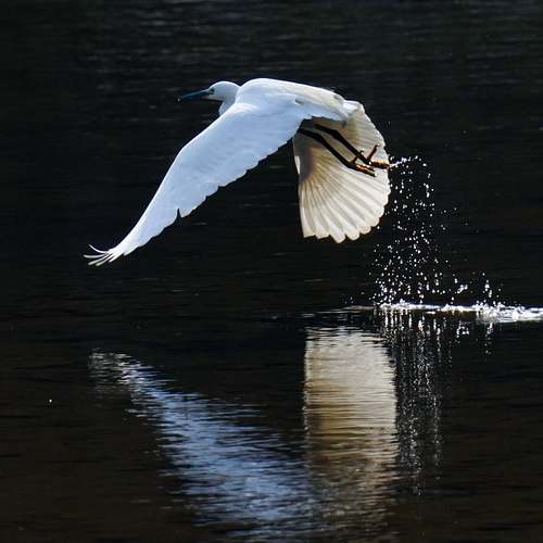 기초생활수급자를 위한 동사무소 대출: 자격조건과 혜택을 한눈에 알아보아요 기초생활수급자를 위한 동사무소 대출: 자격조건과 혜택을 한눈에 알아보아요
