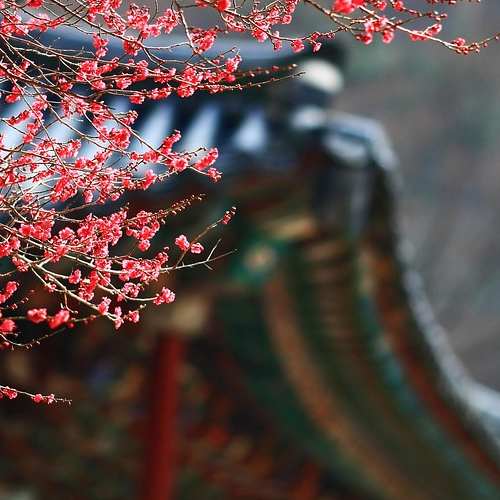 퇴직소득 세금, 알고 계셨나요? 퇴직소득세율과 계산 방법 완벽 가이드 퇴직소득 세금, 알고 계셨나요? 퇴직소득세율과 계산 방법 완벽 가이드