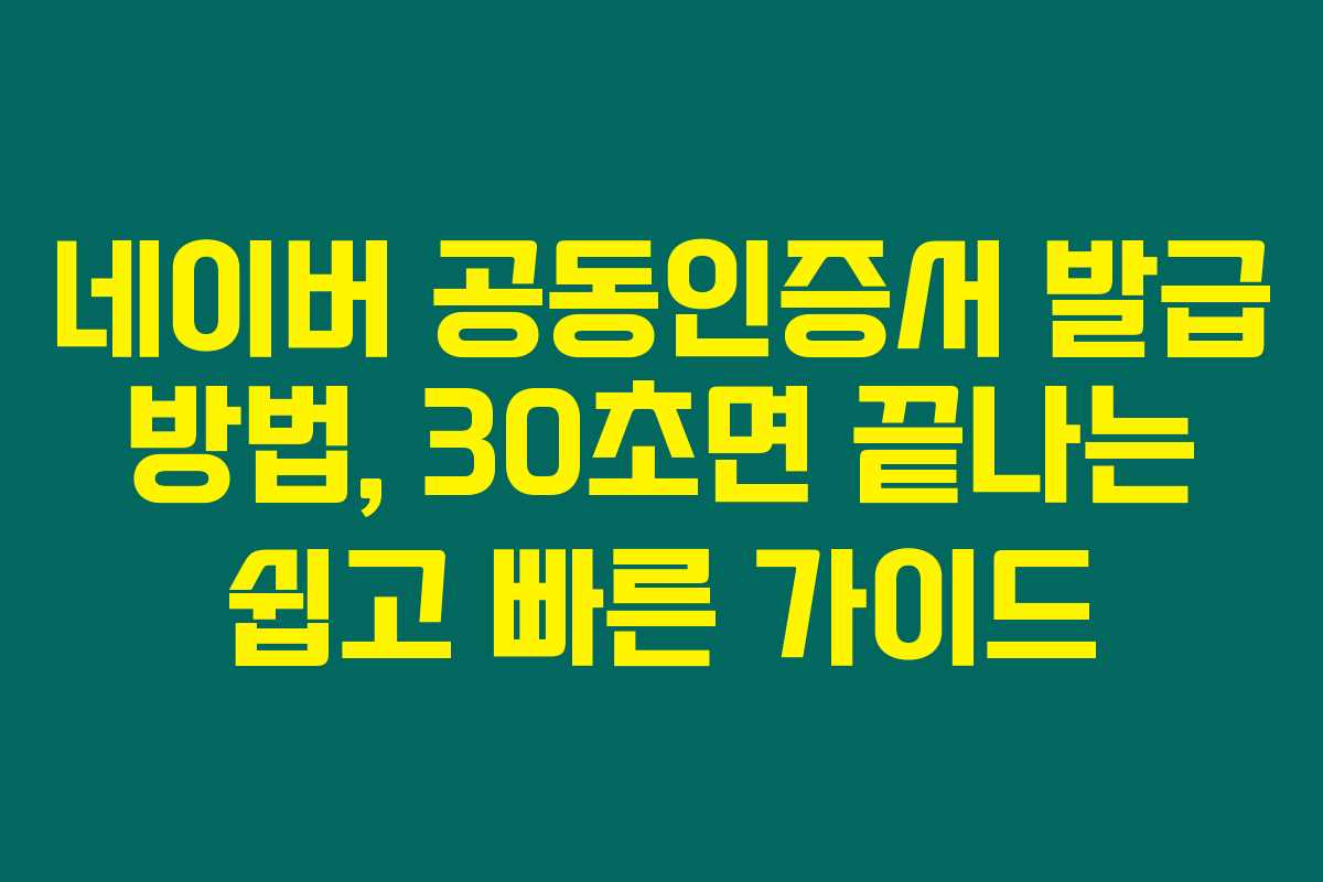 네이버 공동인증서 발급 방법, 30초면 끝나는 쉽고 빠른 가이드 네이버 공동인증서 발급 방법, 30초면 끝나는 쉽고 빠른 가이드