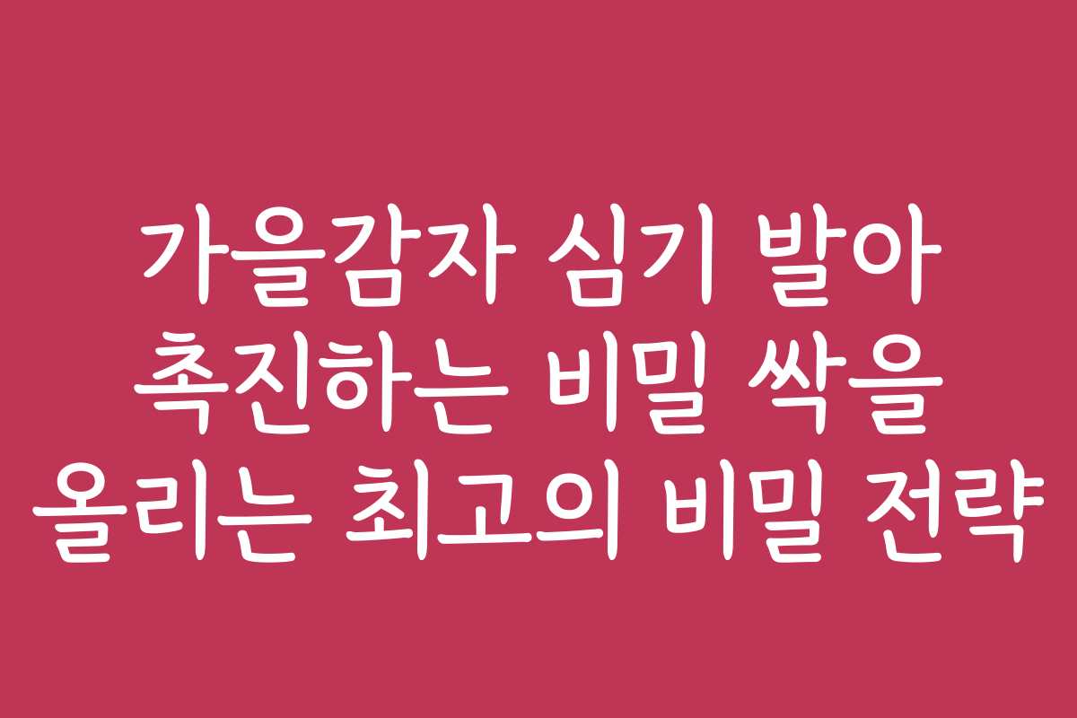가을감자 심기 발아 촉진하는 비밀 싹을 올리는 최고의 비밀 전략 가을감자 심기 발아 촉진하는 비밀 싹을 올리는 최고의 비밀 전략