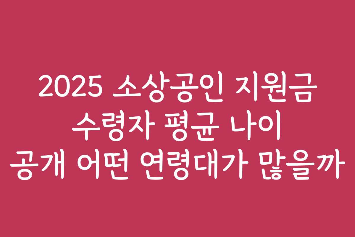 2025 소상공인 지원금 수령자 평균 나이 공개 어떤 연령대가 많을까