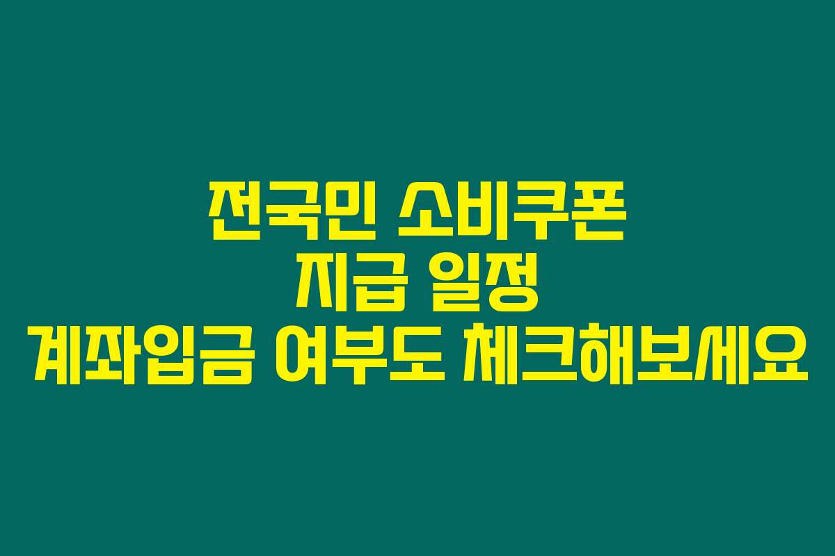 전국민 소비쿠폰 지급 일정 계좌입금 여부도 체크해보세요