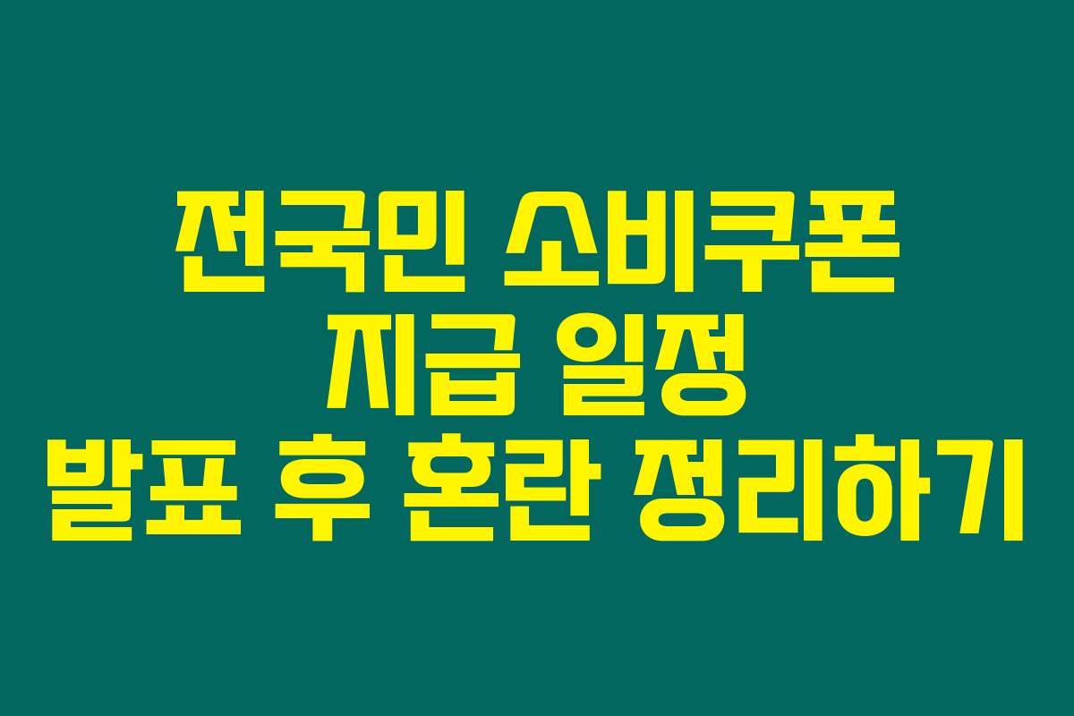 전국민 소비쿠폰 지급 일정 발표 후 혼란 정리하기