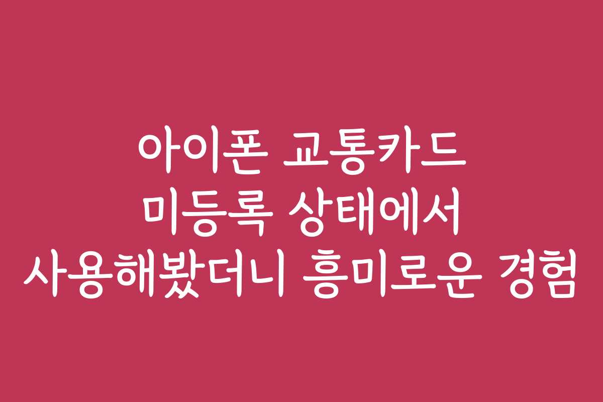 아이폰 교통카드 미등록 상태에서 사용해봤더니 흥미로운 경험