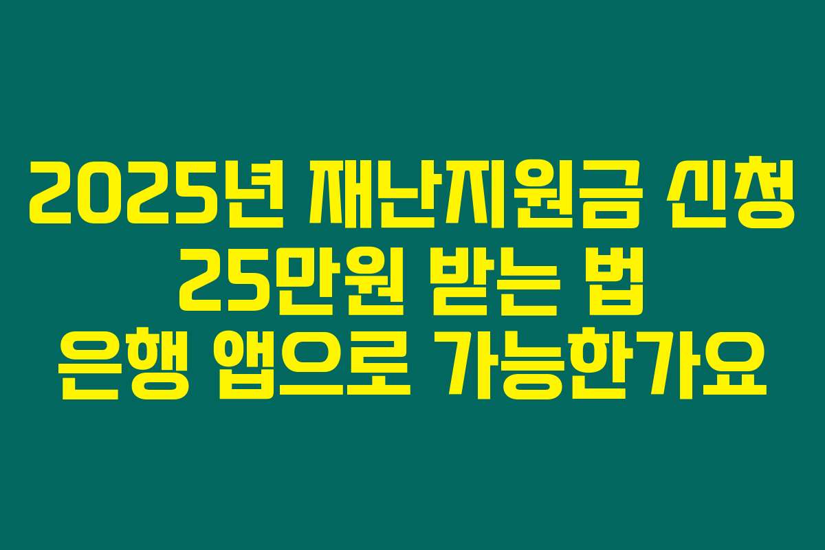 2025년 재난지원금 신청 25만원 받는 법 은행 앱으로 가능한가요