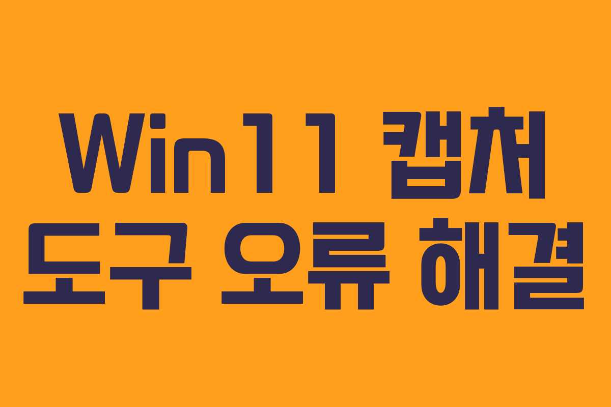 Win11 캡처 도구 오류 해결