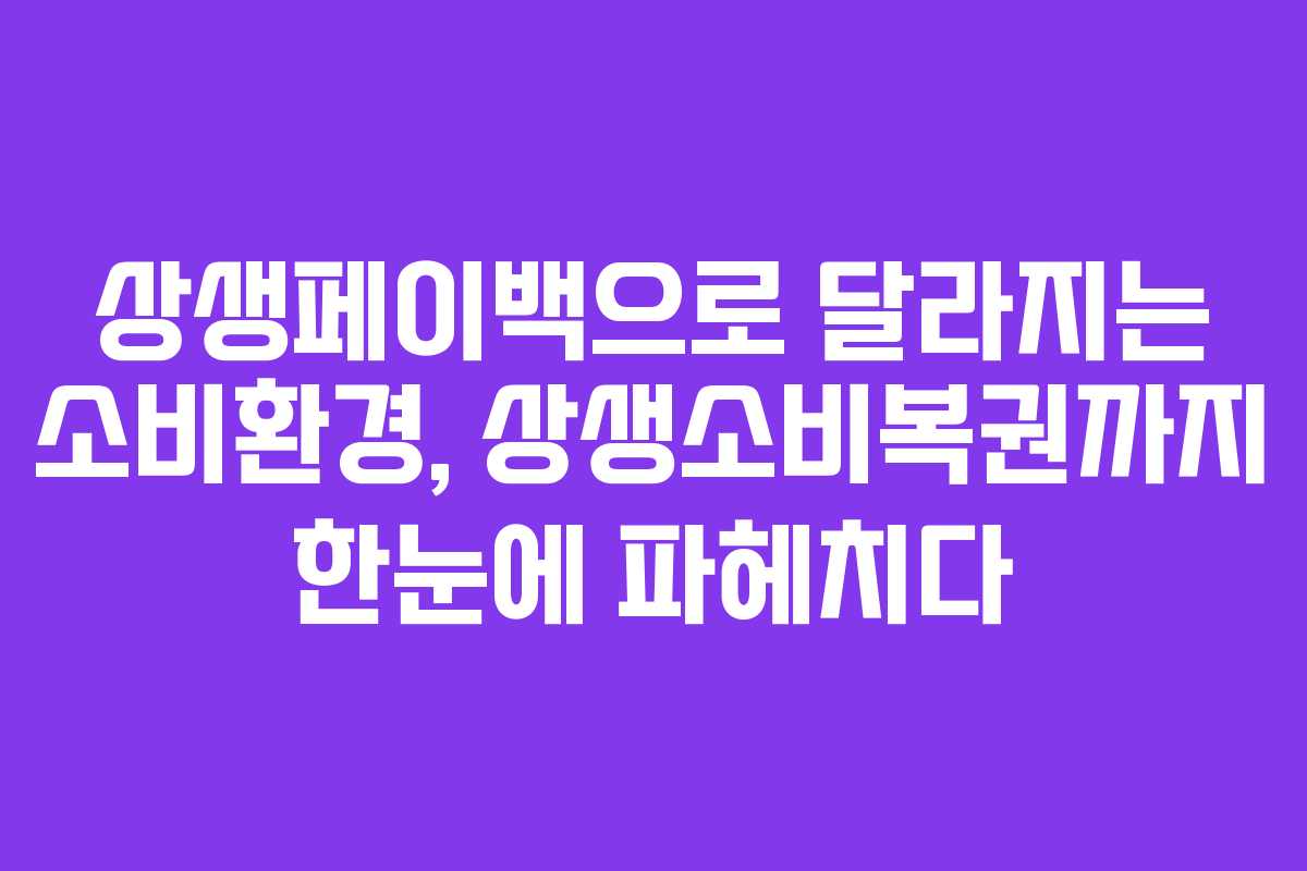 상생페이백으로 달라지는 소비환경, 상생소비복권까지 한눈에 파헤치다