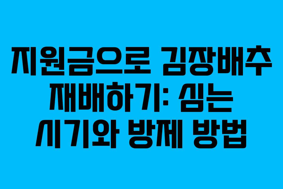 지원금으로 김장배추 재배하기: 심는 시기와 방제 방법