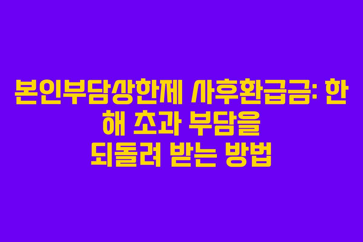 본인부담상한제 사후환급금: 한 해 초과 부담을 되돌려 받는 방법 본인부담상한제 사후환급금: 한 해 초과 부담을 되돌려 받는 방법