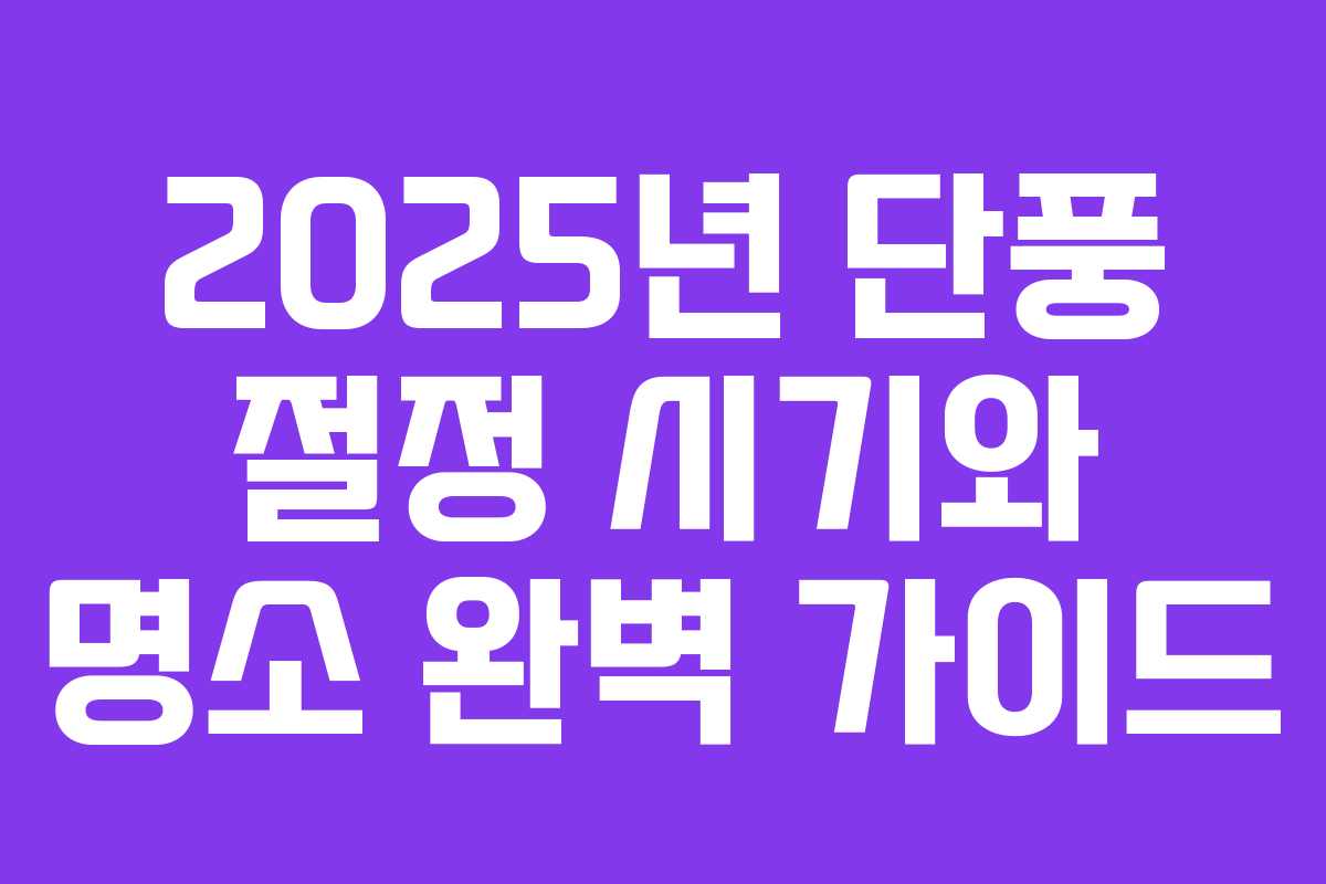 2025년 단풍 절정 시기와 명소 완벽 가이드