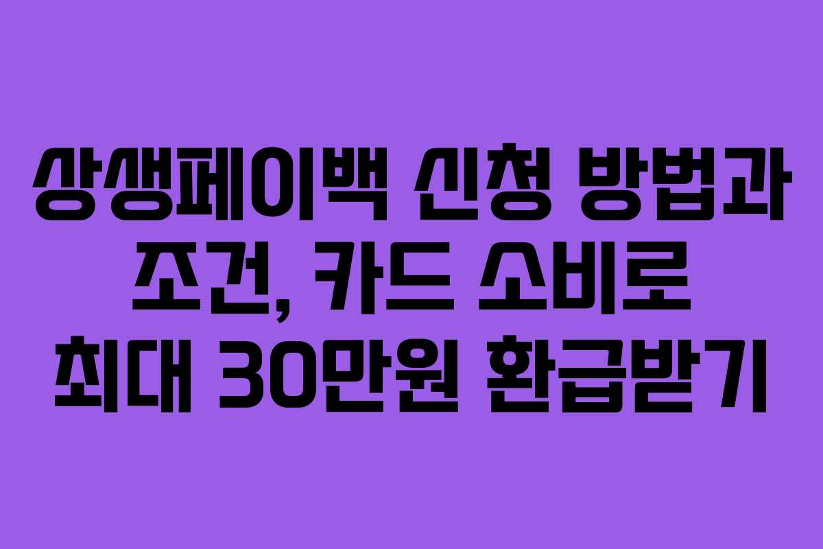 상생페이백 신청 방법과 조건, 카드 소비로 최대 30만원 환급받기