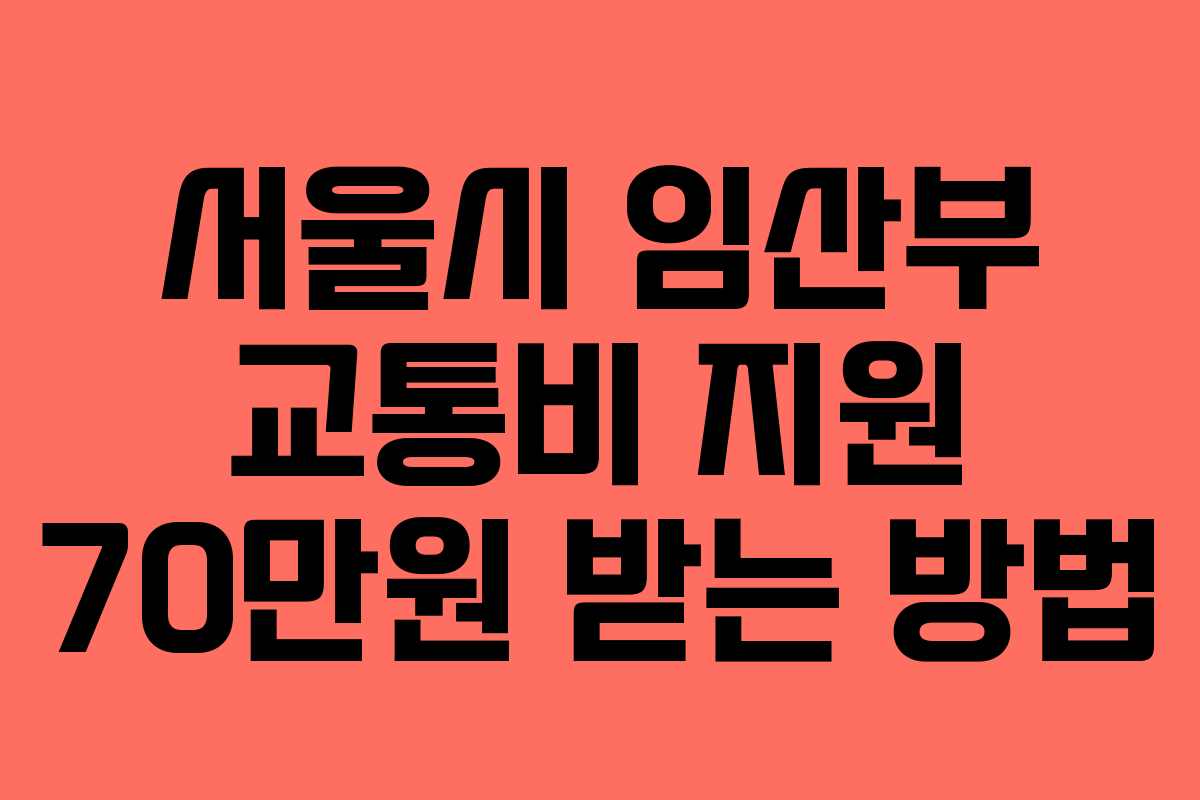 서울시 임산부 교통비 지원 70만원 받는 방법 서울시 임산부 교통비 지원 70만원 받는 방법