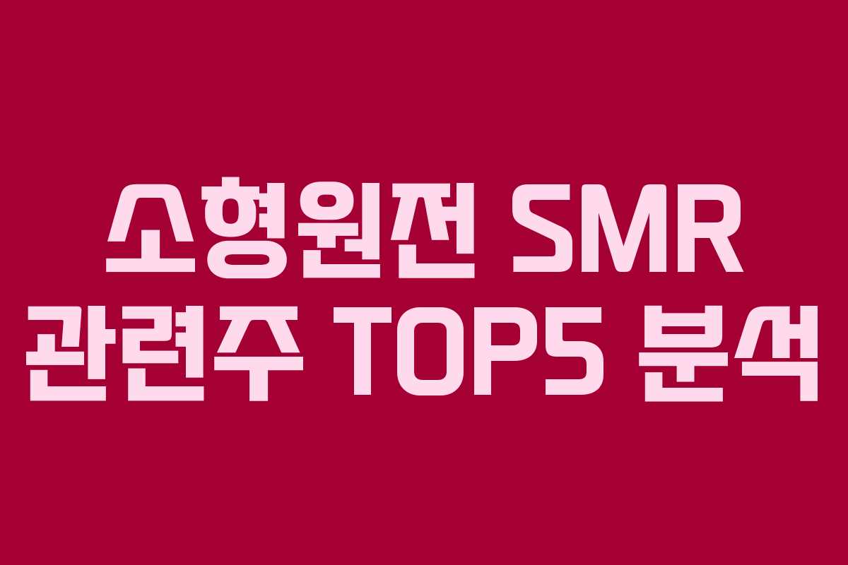 소형원전 SMR 관련주 TOP5 분석 소형원전 SMR 관련주 TOP5 분석