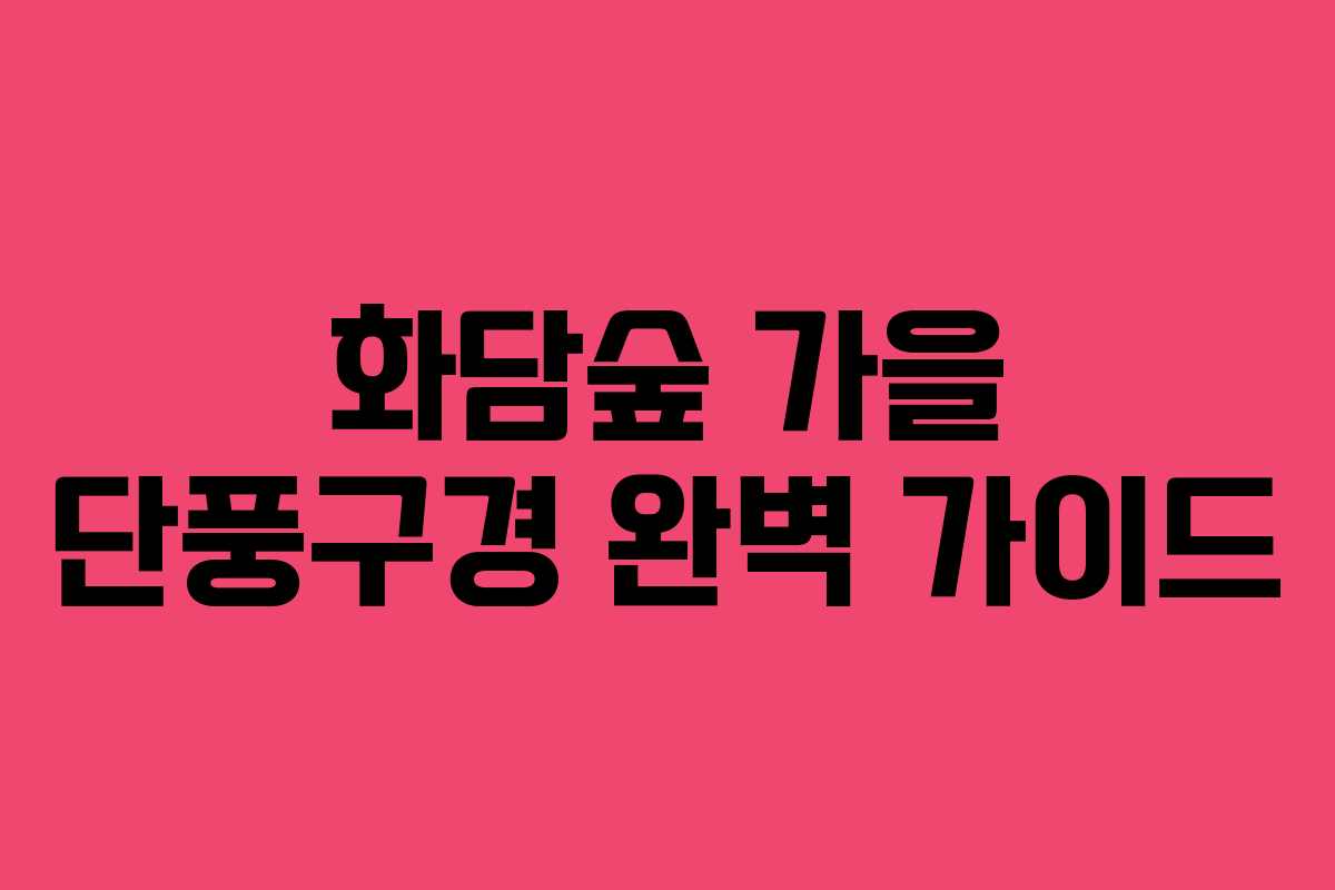 화담숲 가을 단풍구경 완벽 가이드