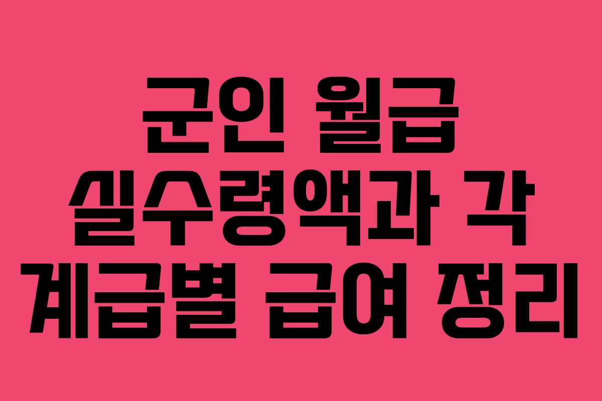 군인 월급 실수령액과 각 계급별 급여 정리