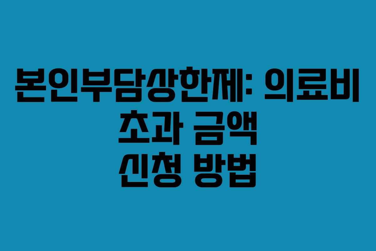 본인부담상한제: 의료비 초과 금액 신청 방법