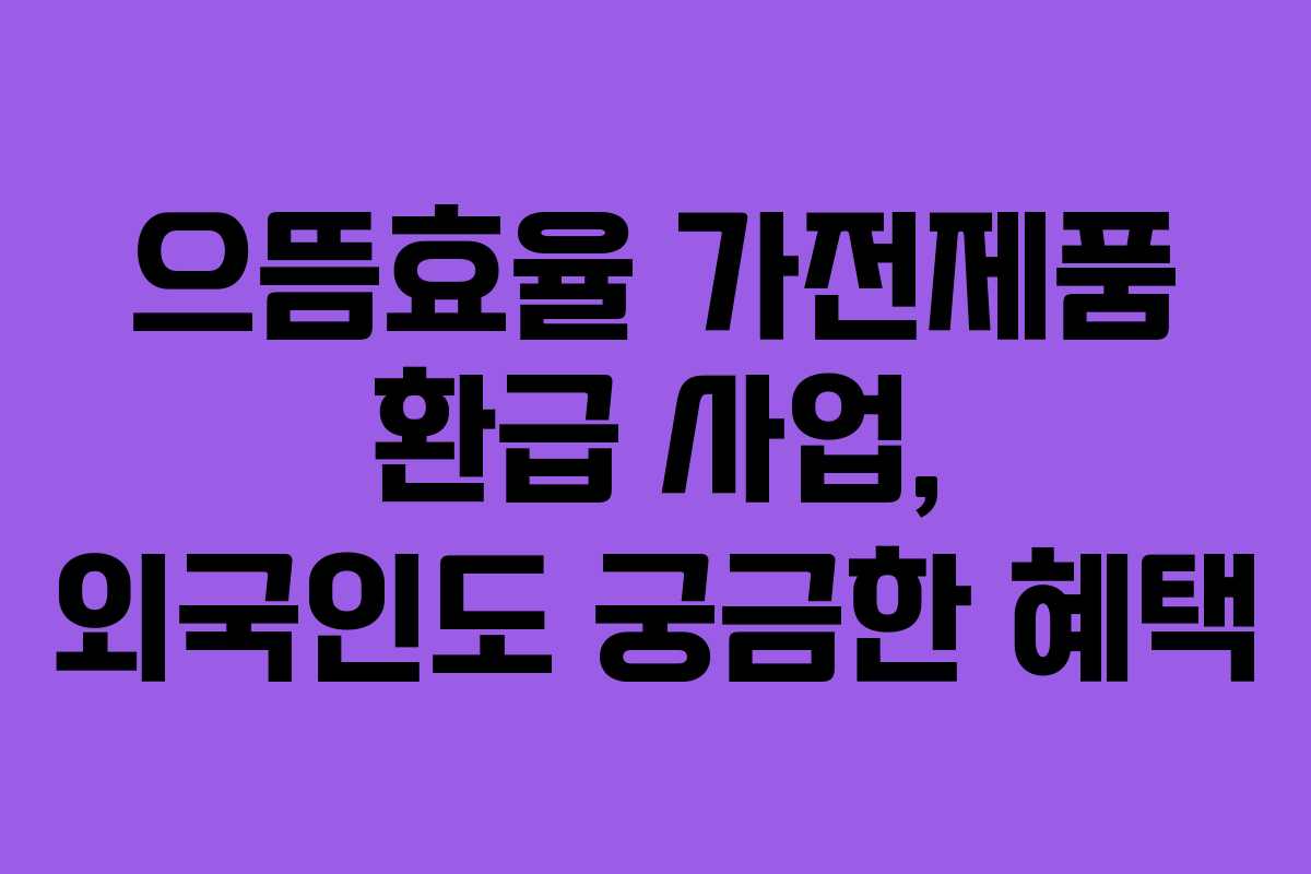 으뜸효율 가전제품 환급 사업, 외국인도 궁금한 혜택