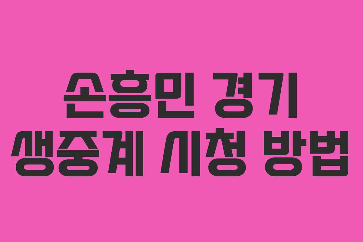손흥민 경기 생중계 시청 방법