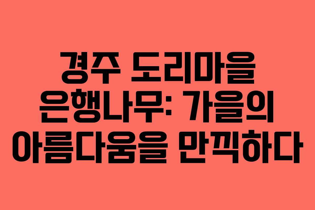 경주 도리마을 은행나무: 가을의 아름다움을 만끽하다 경주 도리마을 은행나무: 가을의 아름다움을 만끽하다