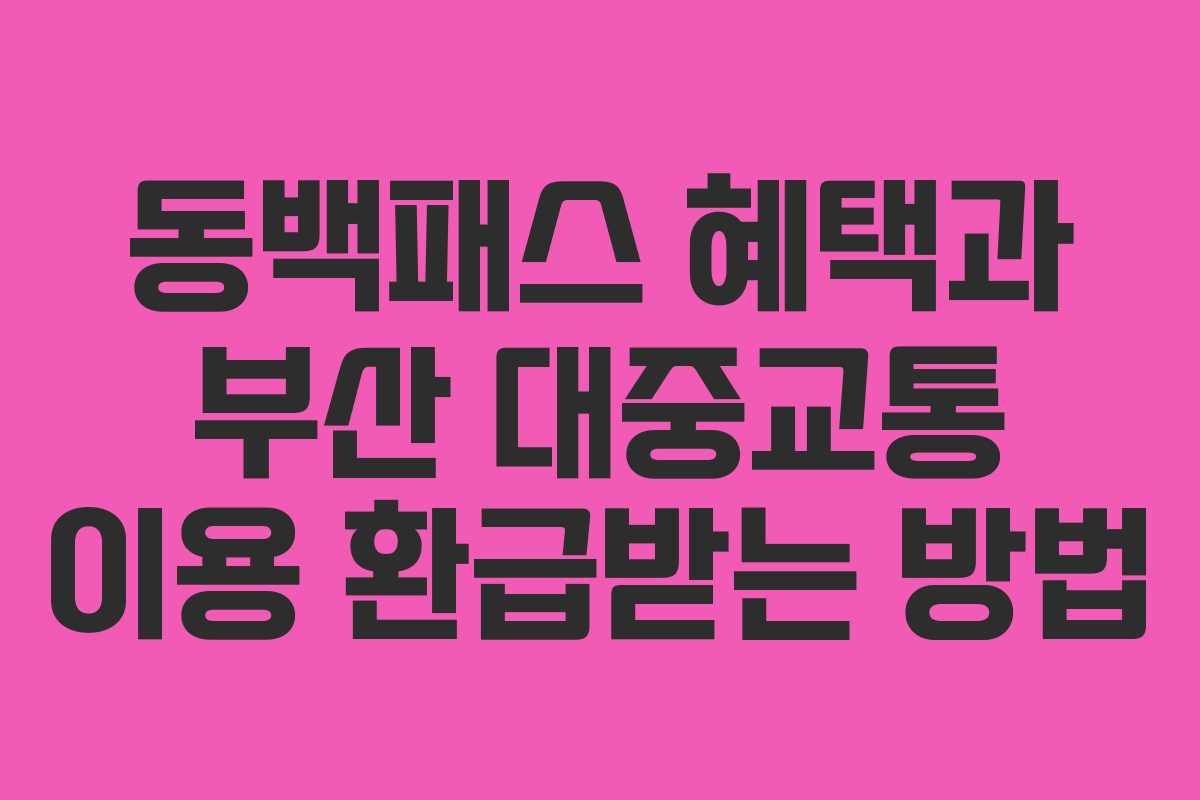 동백패스 혜택과 부산 대중교통 이용 환급받는 방법