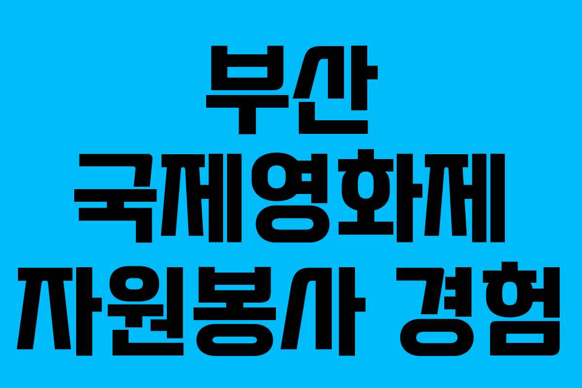 부산 국제영화제 자원봉사 경험