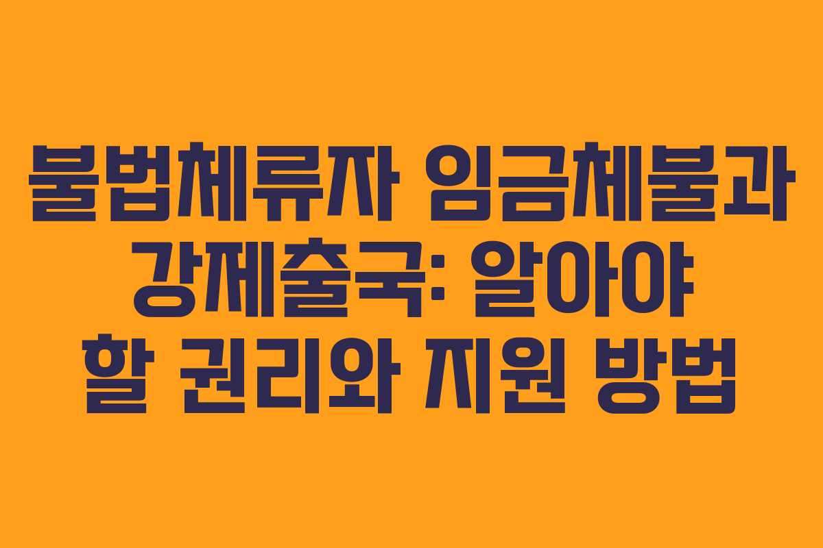 불법체류자 임금체불과 강제출국: 알아야 할 권리와 지원 방법