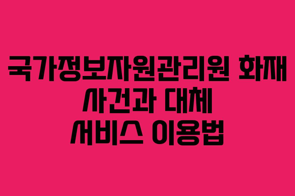 국가정보자원관리원 화재 사건과 대체 서비스 이용법