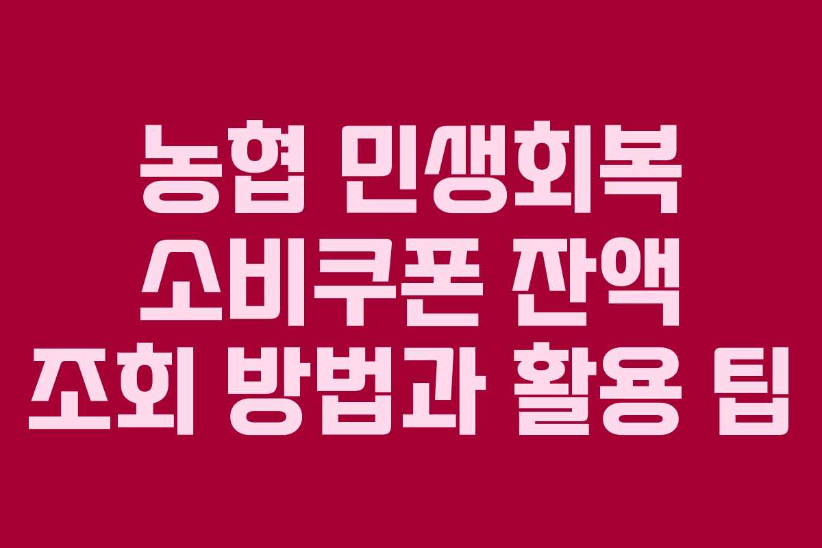 농협 민생회복 소비쿠폰 잔액 조회 방법과 활용 팁