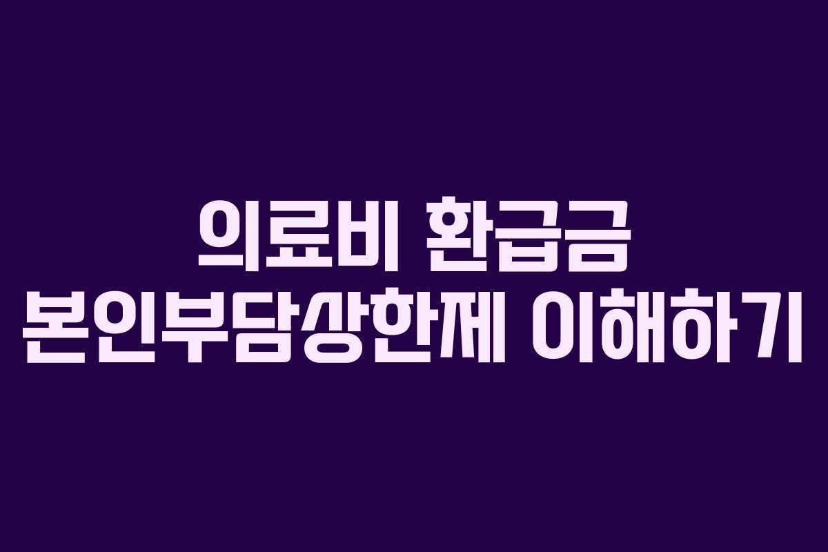 의료비 환급금 본인부담상한제 이해하기