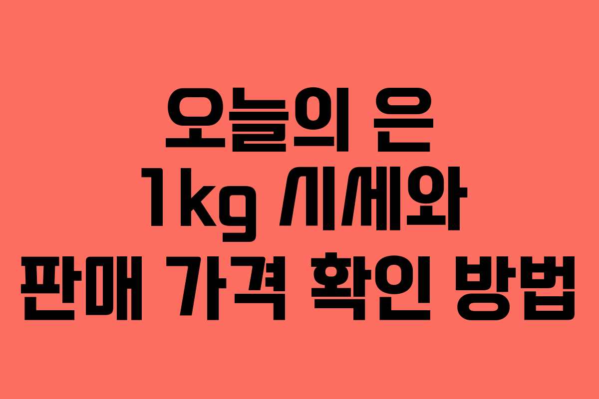오늘의 은 1kg 시세와 판매 가격 확인 방법