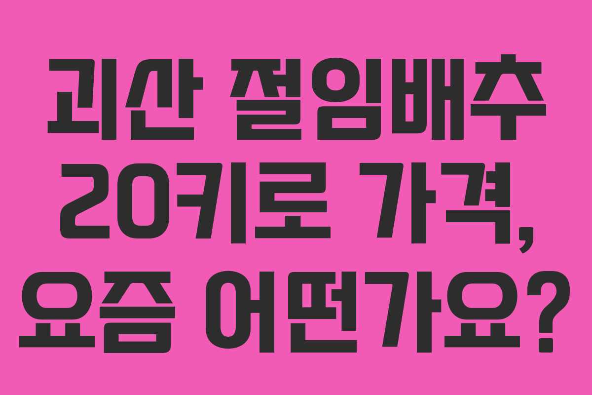 괴산 절임배추 20키로 가격, 요즘 어떤가요?