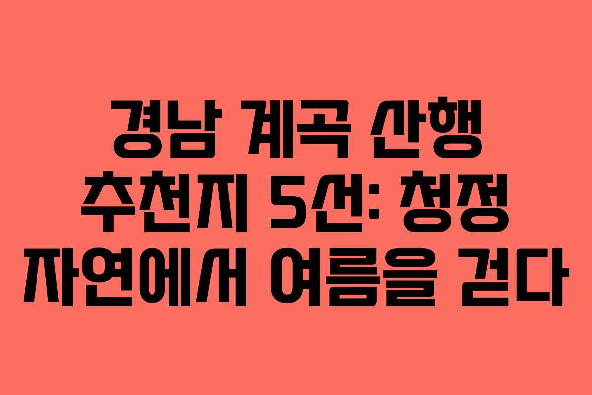 경남 계곡 산행 추천지 5선: 청정 자연에서 여름을 걷다