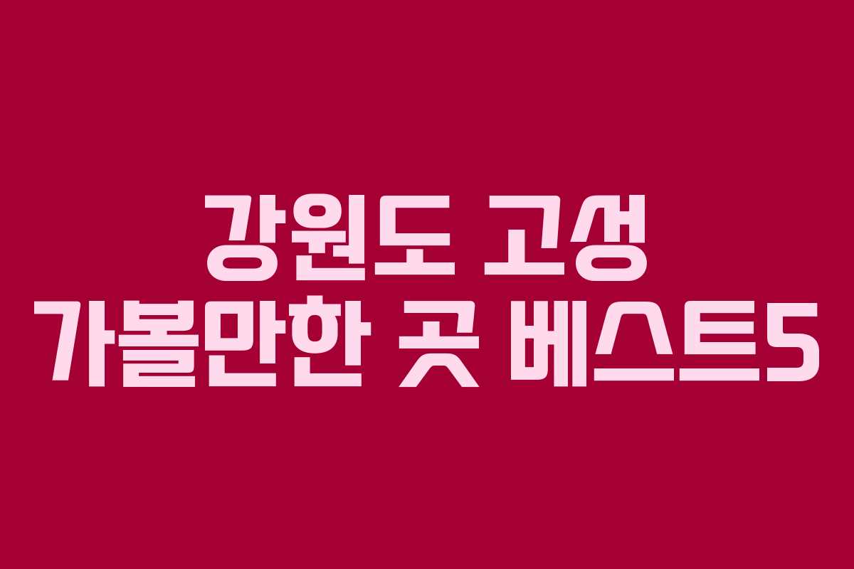 강원도 고성 가볼만한 곳 베스트5