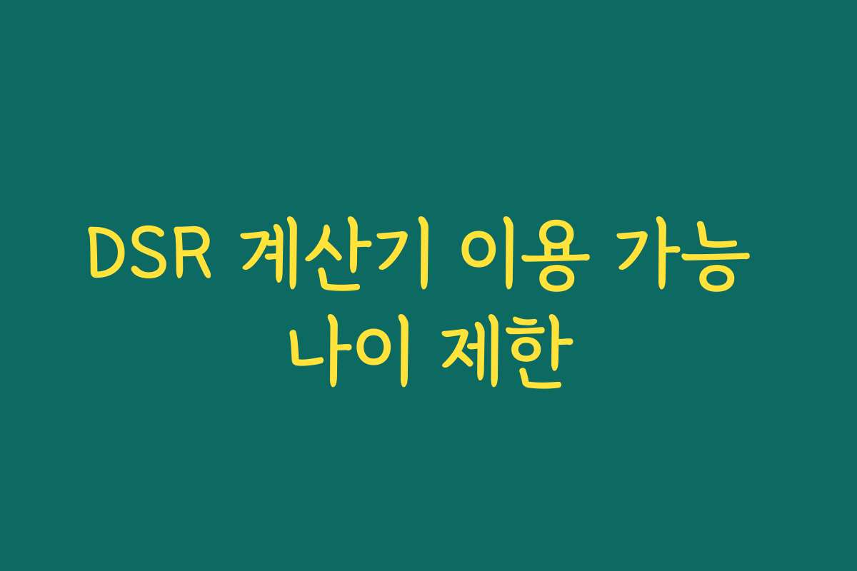 DSR 계산기 이용 가능 나이 제한