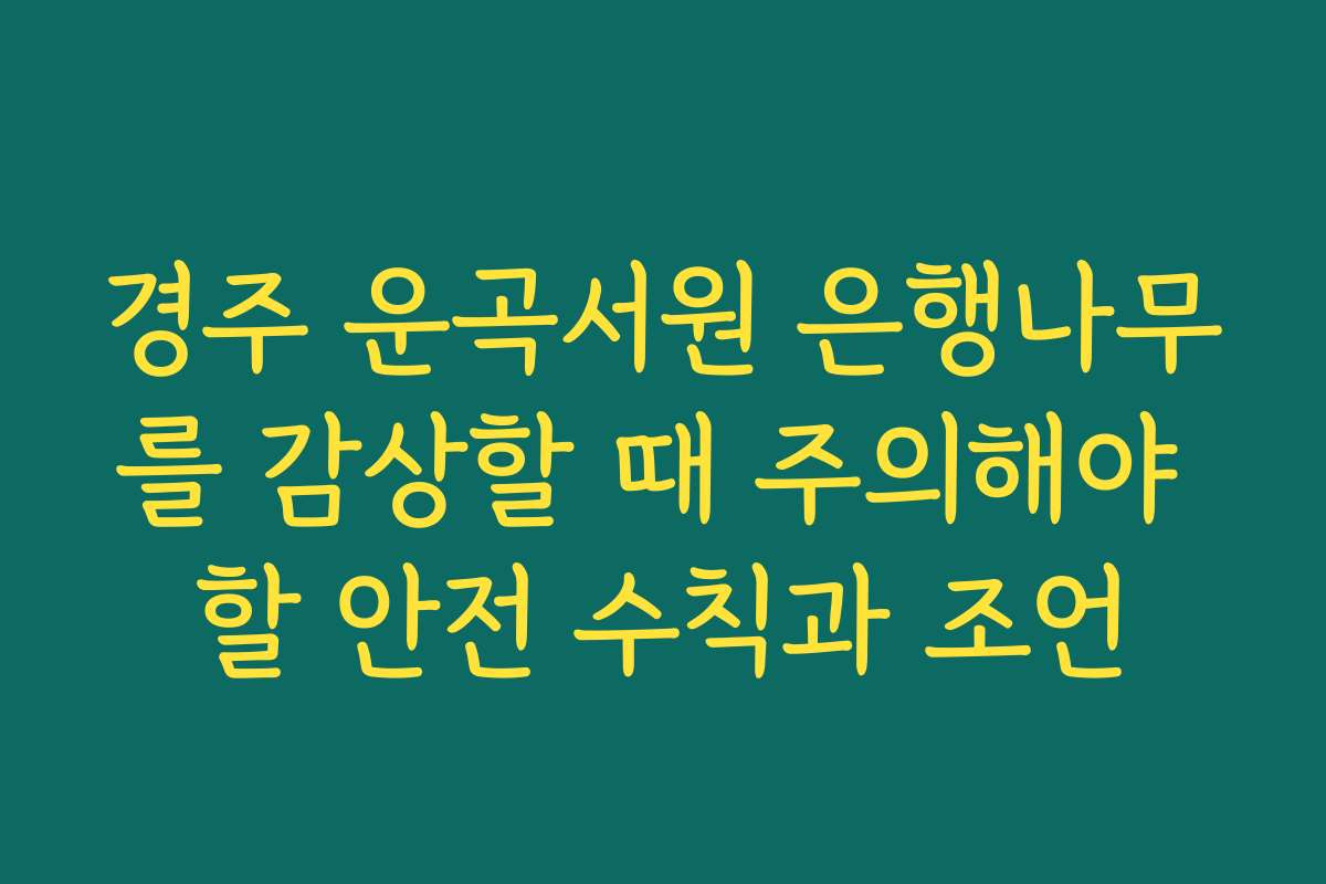 경주 운곡서원 은행나무를 감상할 때 주의해야 할 안전 수칙과 조언