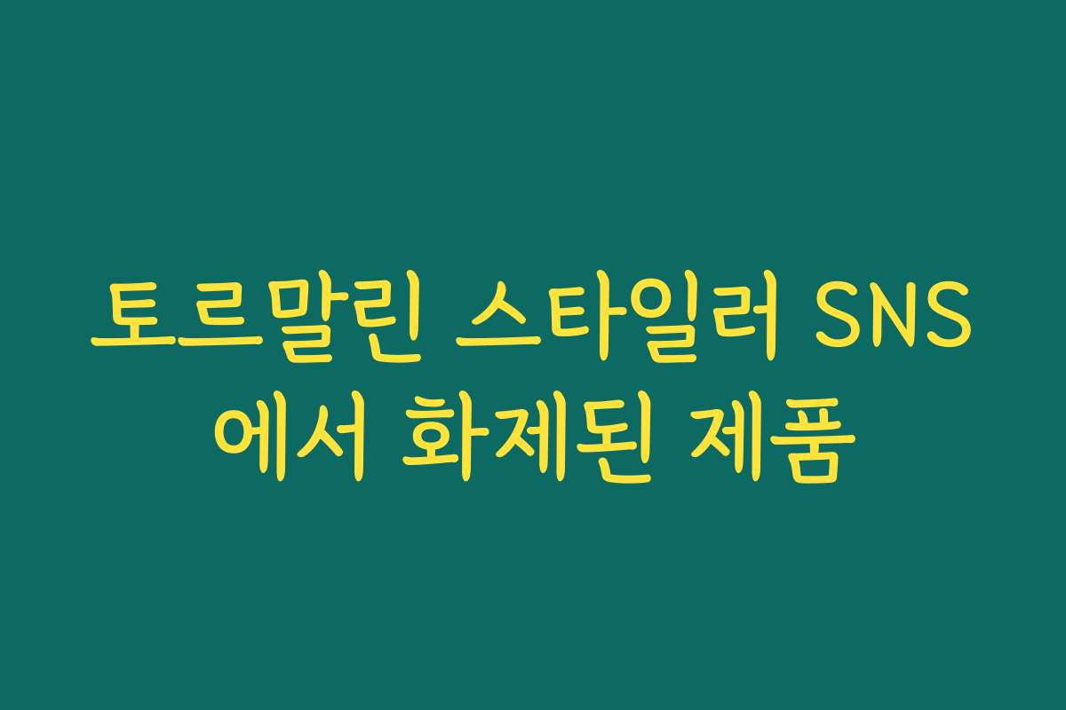토르말린 스타일러 SNS에서 화제된 제품