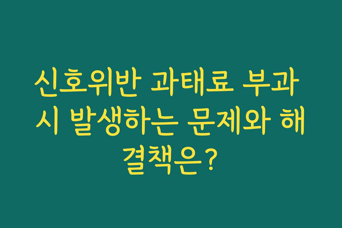 신호위반 과태료 부과 시 발생하는 문제와 해결책은? 신호위반 과태료 부과 시 발생하는 문제와 해결책은?