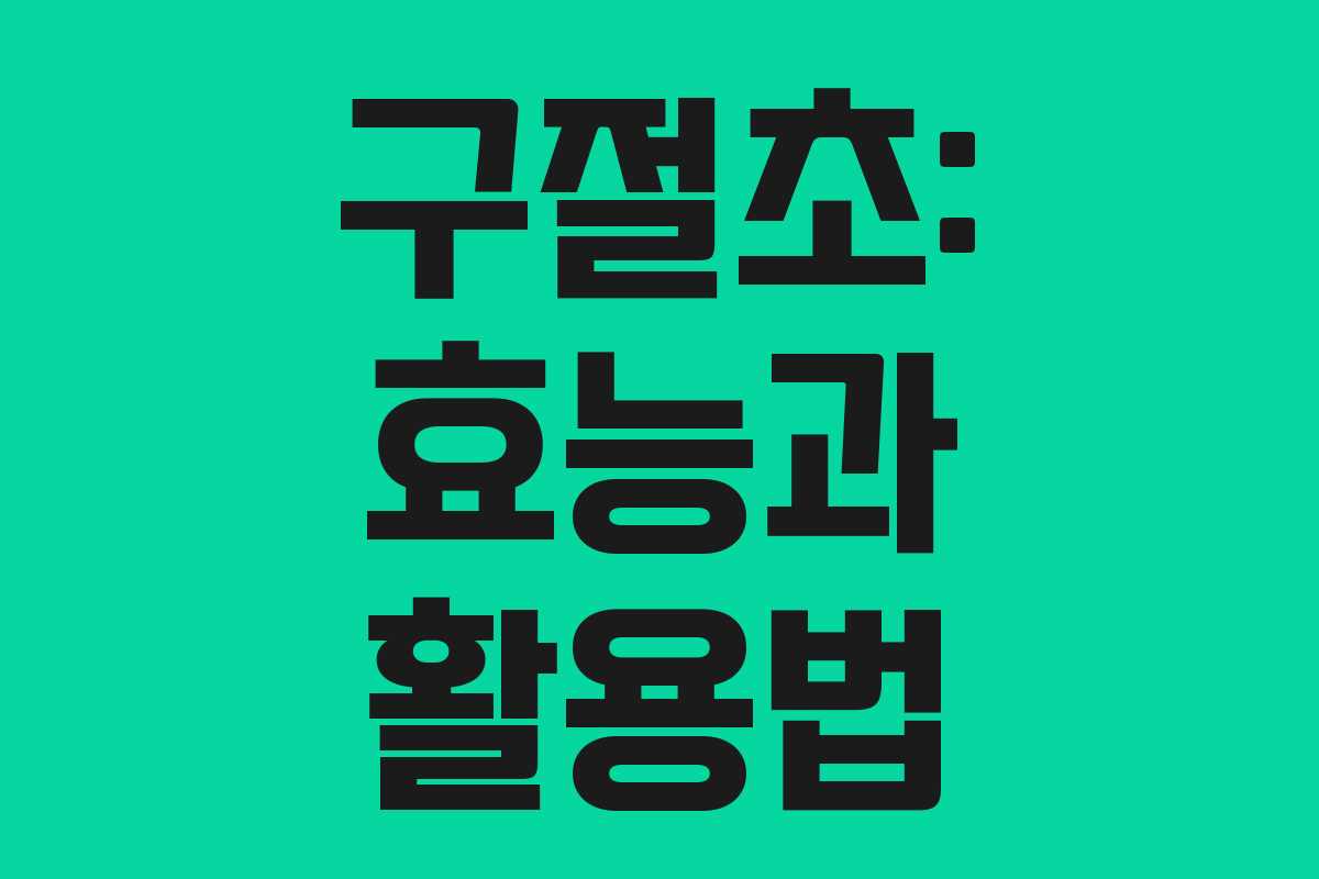 구절초: 효능과 활용법