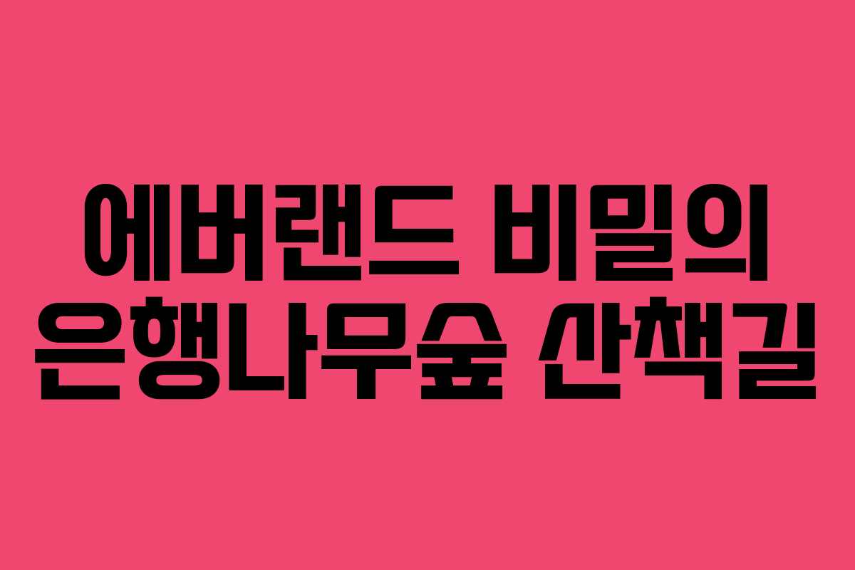 에버랜드 비밀의 은행나무숲 산책길