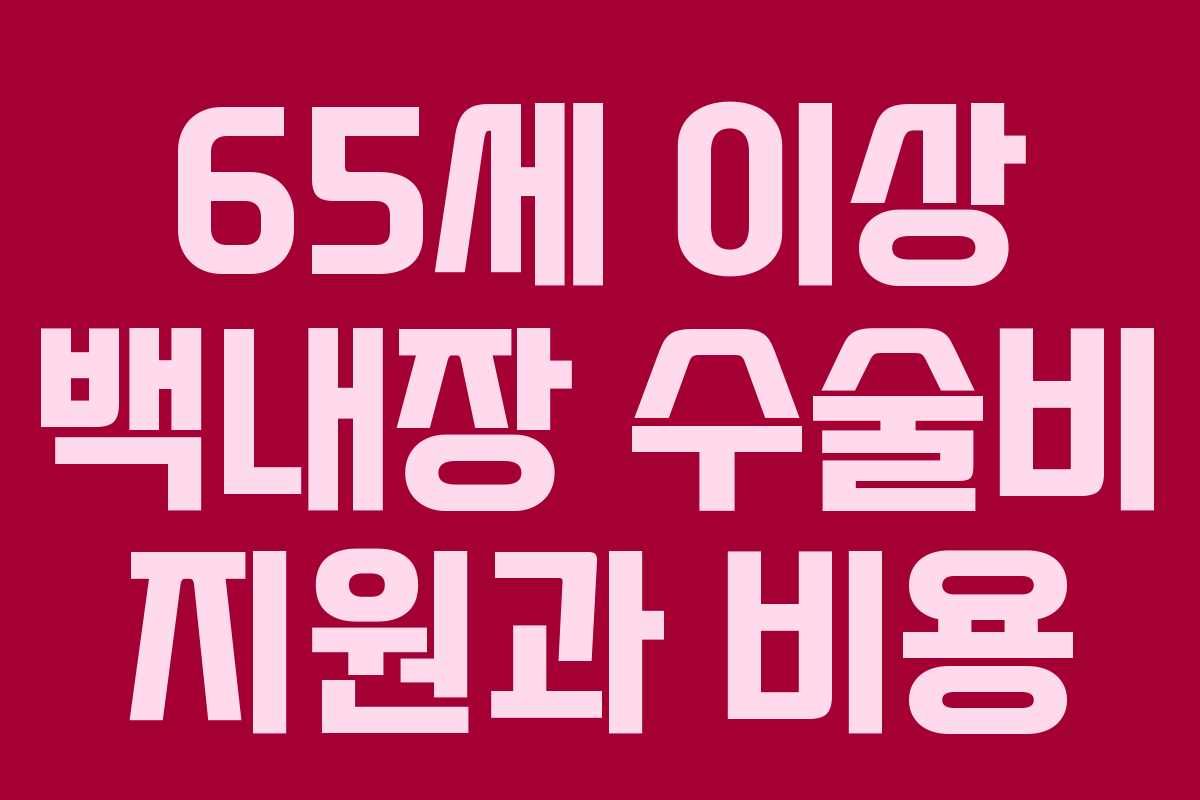 65세 이상 백내장 수술비 지원과 비용