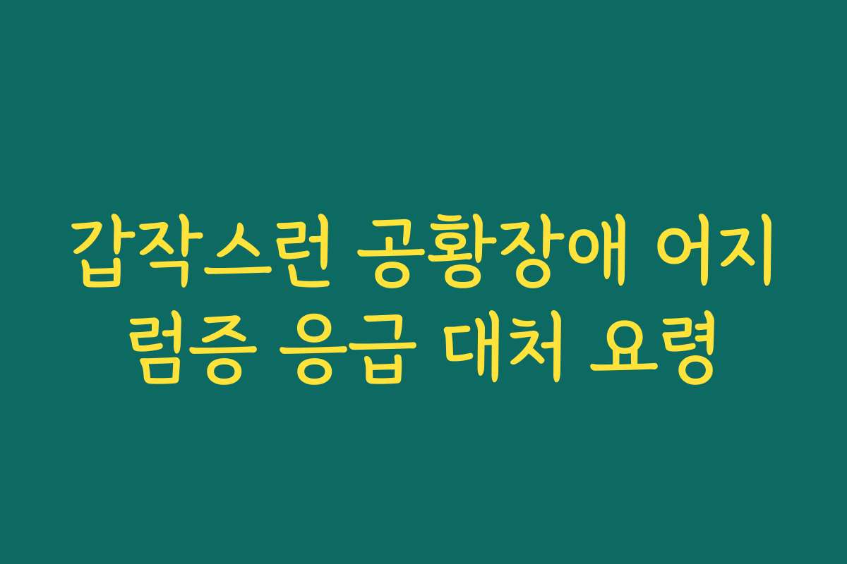갑작스런 공황장애 어지럼증 응급 대처 요령 갑작스런 공황장애 어지럼증 응급 대처 요령