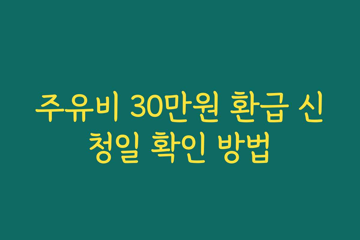 주유비 30만원 환급 신청일 확인 방법