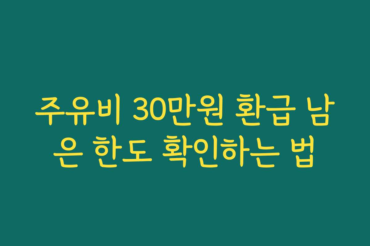 주유비 30만원 환급 남은 한도 확인하는 법 주유비 30만원 환급 남은 한도 확인하는 법