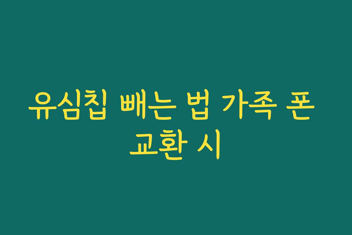 유심칩 빼는 법 가족 폰 교환 시