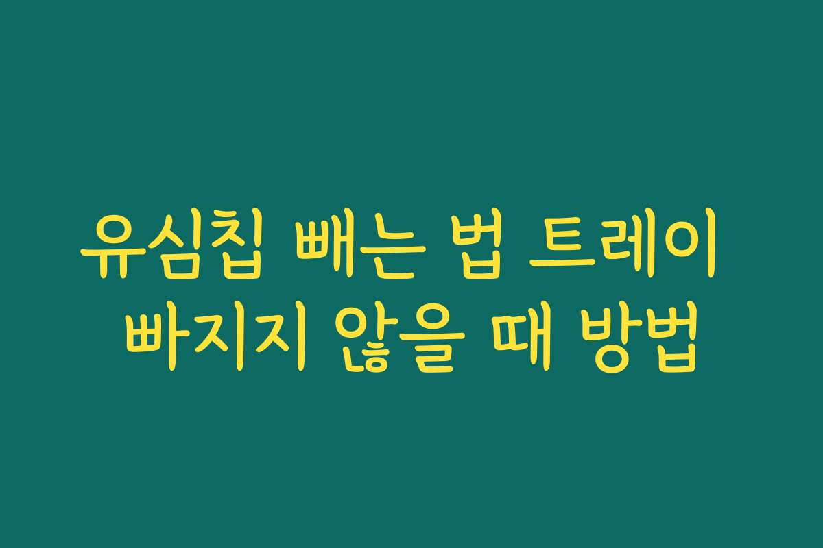 유심칩 빼는 법 트레이 빠지지 않을 때 방법