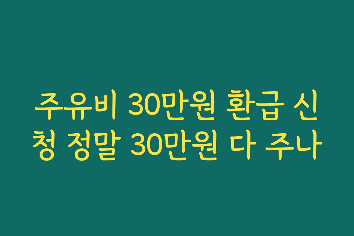 주유비 30만원 환급 신청 정말 30만원 다 주나 주유비 30만원 환급 신청 정말 30만원 다 주나