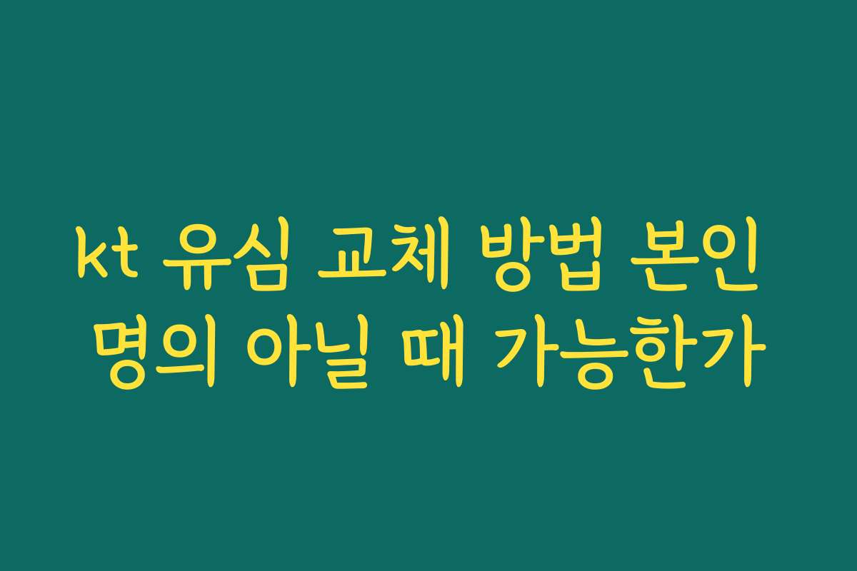 kt 유심 교체 방법 본인 명의 아닐 때 가능한가